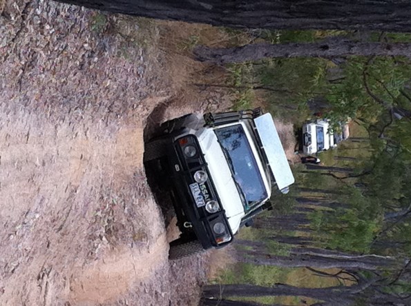 20110711-090448.jpg