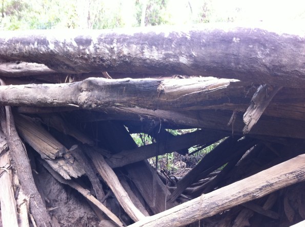20110717-071511.jpg