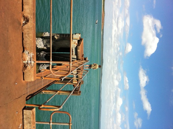 20110717-073826.jpg