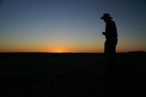 Simpson Sunset