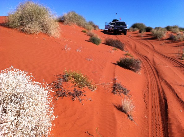 Sand Dune on the Hay